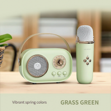 Bluetooth zvucnik sa mikrofonom c20plus zeleni Bluetooth zvucnik sa mikrofonom c20plus zeleni