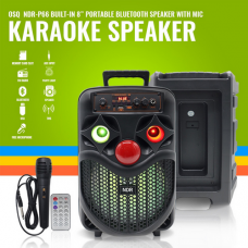 Bluetooth zvucnik NDR-P66 Bluetooth zvucnik NDR-P66